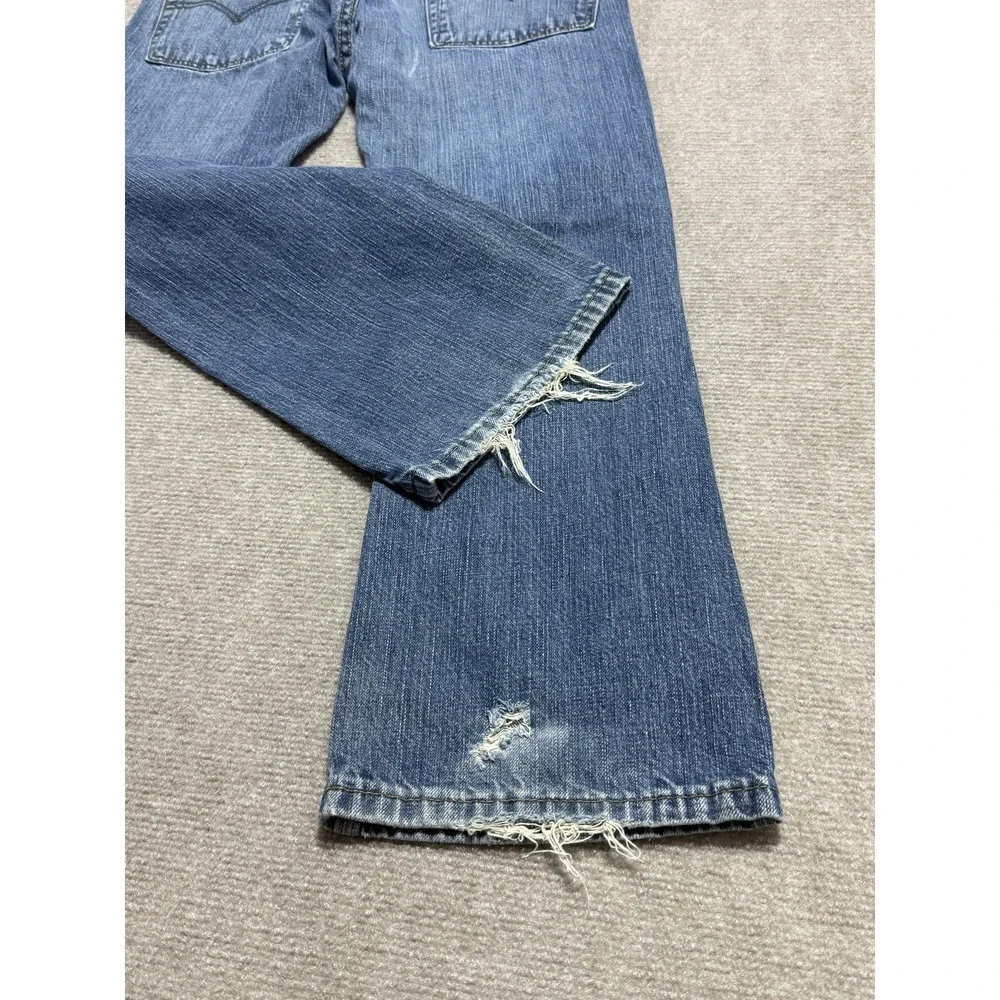 Levis levis 527